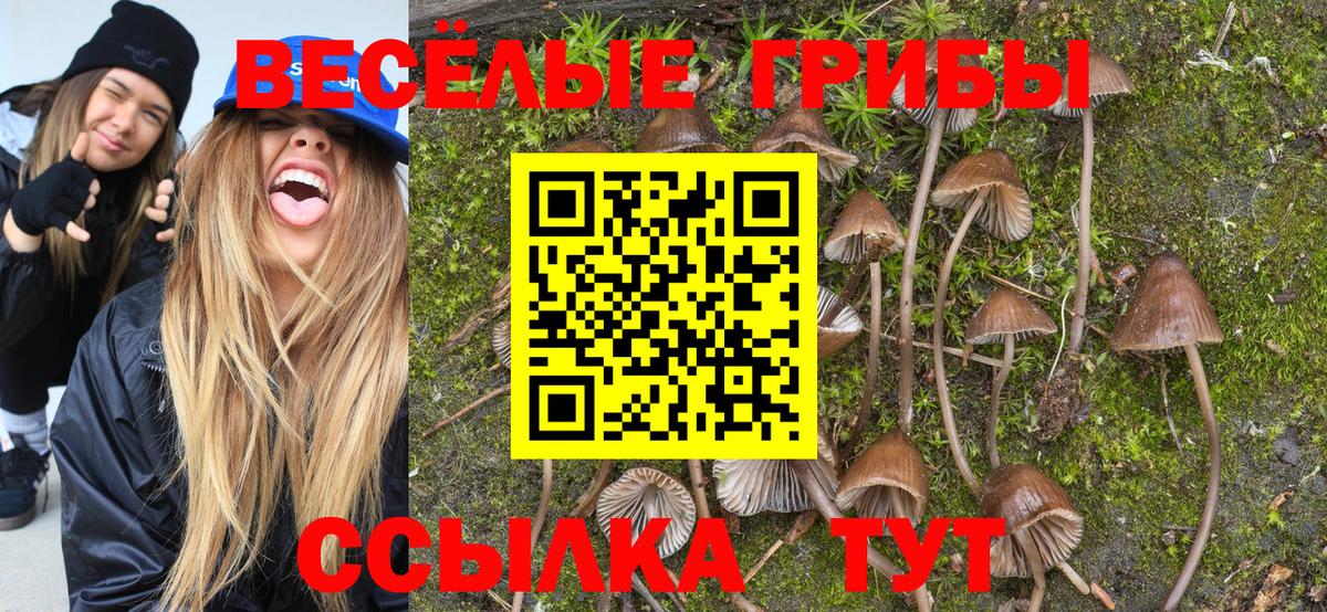 Псилоцибиновые грибы ЛСД Сокол