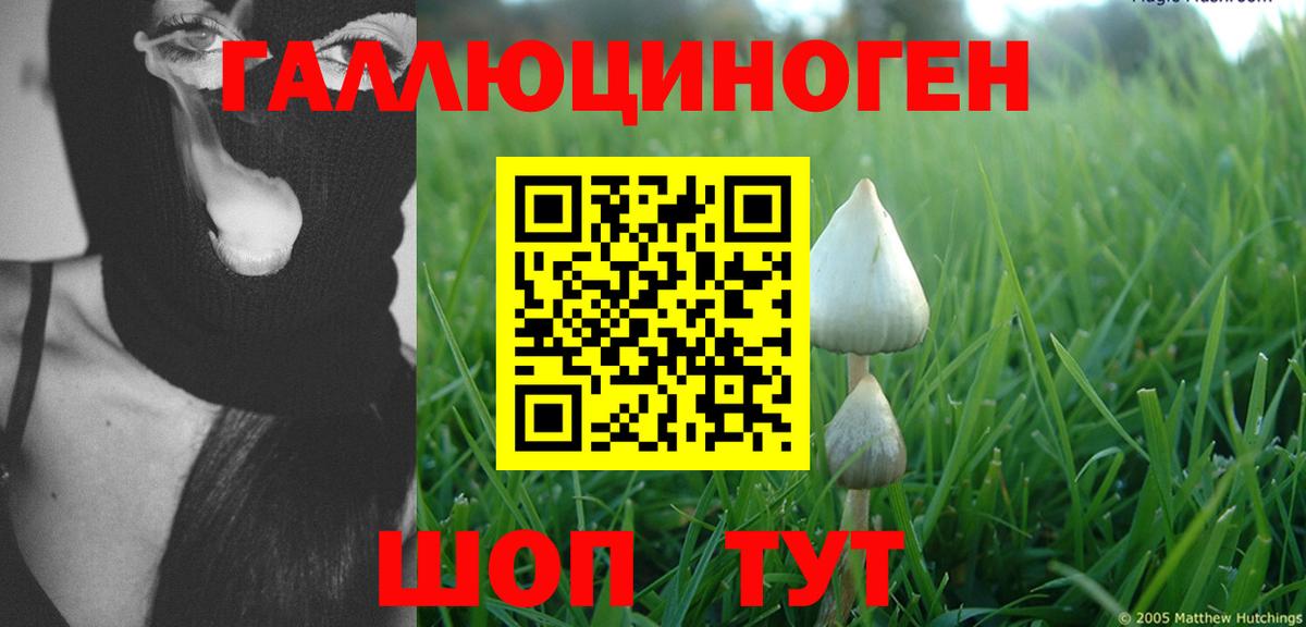 Галлюциногенные грибы Cubensis  Вход с VPN  Сокол 